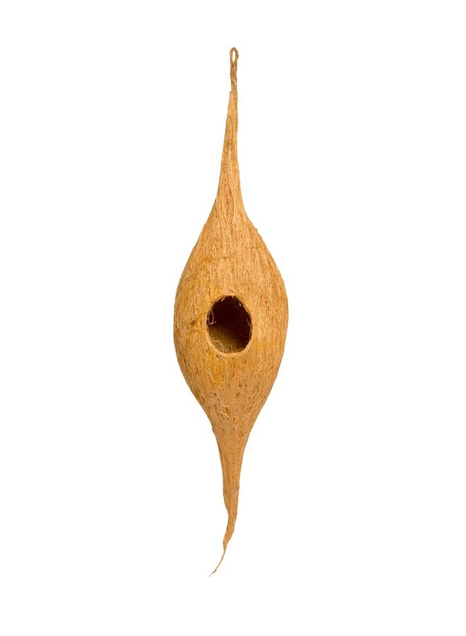 DealFry Handmade Hanging Bird Nest with Single Hole Made of Natural Coir Fiber Coconut Shell, Hanging Bird Nest for Cage and Balcony Birds Sparrows Finches Breeding (Brown | Small) - (Set-1) - Image 1